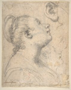 The Head and Shoulders of a Woman in Profile; Separate Studies of Her Head and Ear (recto); Fragment of Drapery Study, Profile of Architectural Molding (verso). MET DP810936