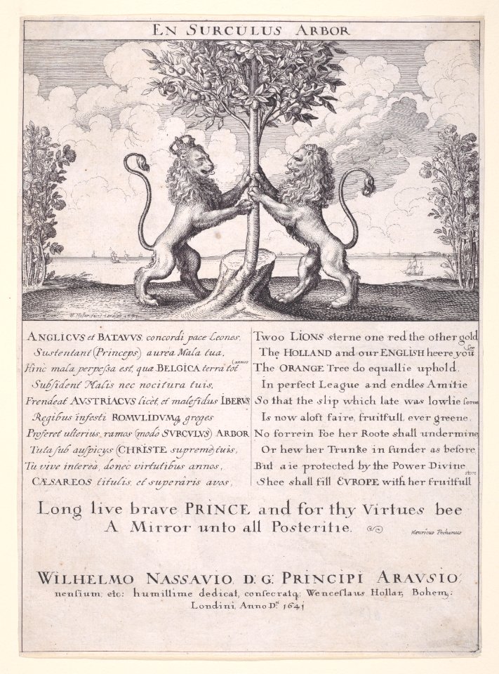 The Lions of England and Holland Met DP891186