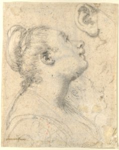 The Head and Shoulders of a Woman in Profile; Separate Studies of Her Head and Ear (recto); Fragment of Drapery Study, Profile of Architectural Molding (verso). MET DP123325