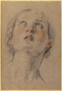 The Head of a Woman Looking Up (Judith). MET 1992.70