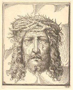 The Head of Christ Crowned with Thorns MET DP833983