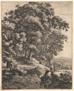 The Little Hunchback MET DP876274