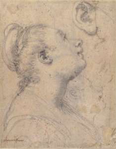 The Head and Shoulders of a Woman in Profile; Separate Studies of Her Head and Ear (recto); Fragment of Drapery Study, Profile of Architectural Molding (verso). MET 2004.293a