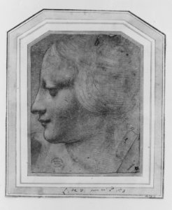The Head of a Woman in Profile Facing Left MET 43523