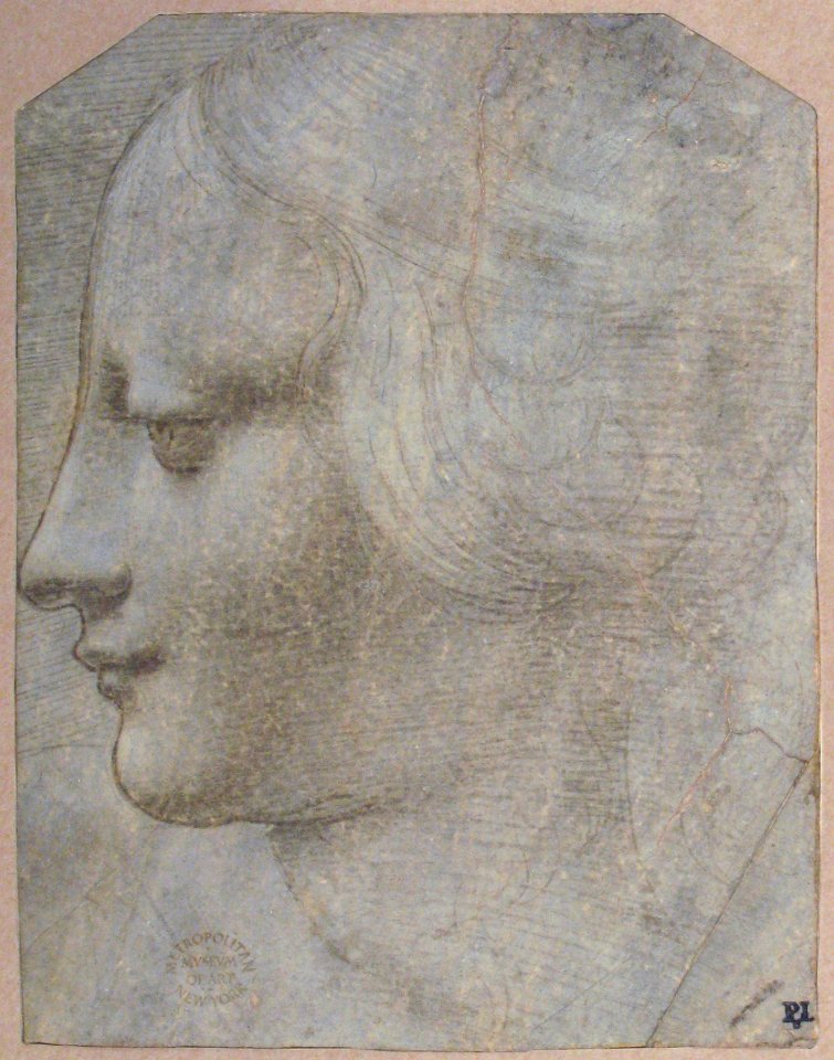 The Head of a Woman in Profile Facing Left MET 19.76.3