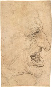 The Head of a Grotesque Man in Profile Facing Right MET DP808305