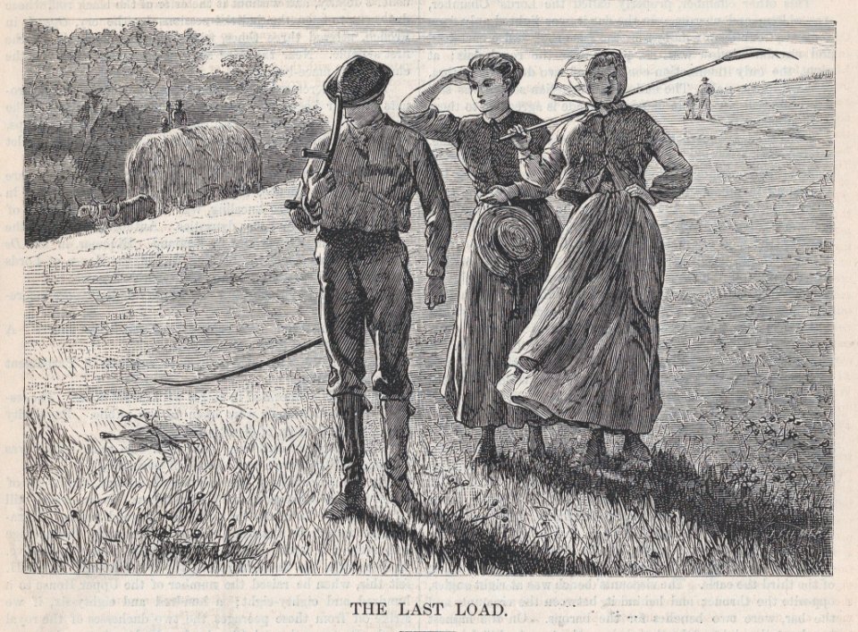The Last Load (Appleton's Journal, Vol. I) MET DP875271