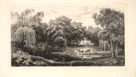 The Deer Pond MET DP822232