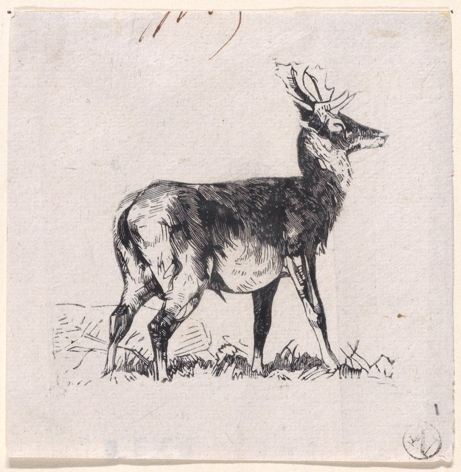 The Deer Met DP888890