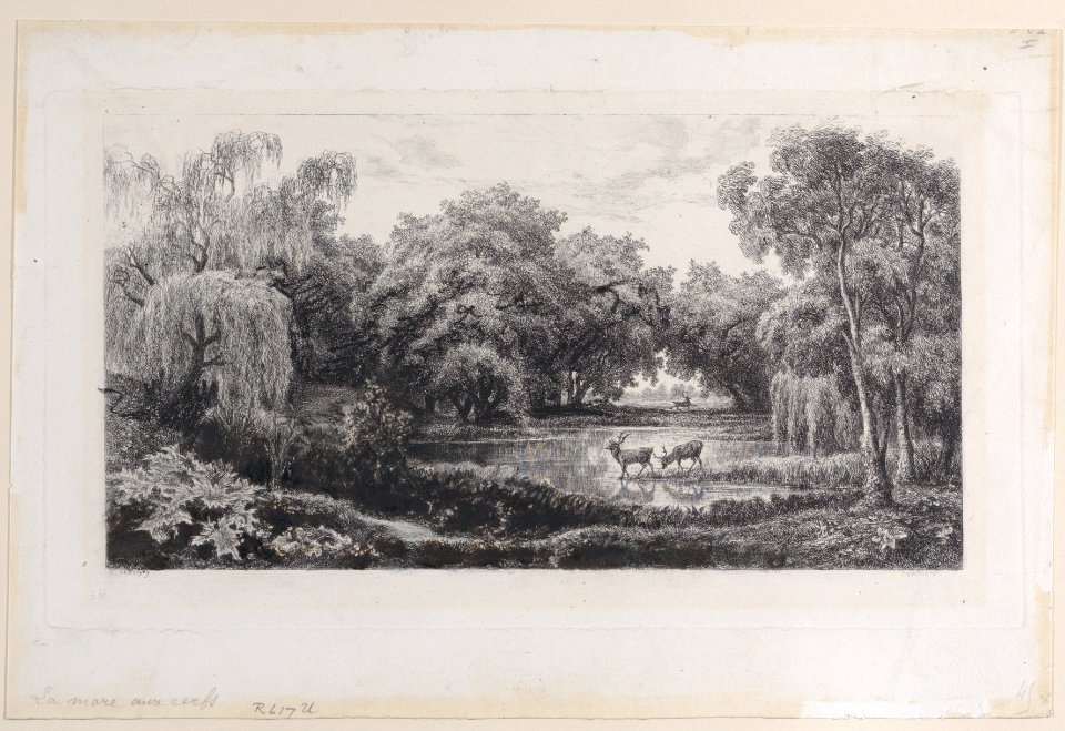 The Deer Pond Met DP884921