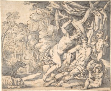 The Death of Adonis MET DP803057