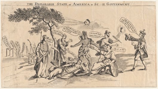 The Deplorable State of America, or Sc h Government MET DP876963