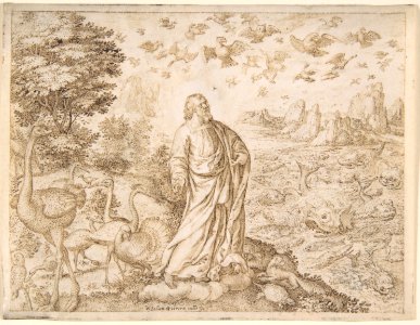 The Creation of the Fish and the Birds MET DP801687