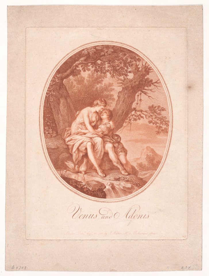 Venus and Adonis Met DP891481