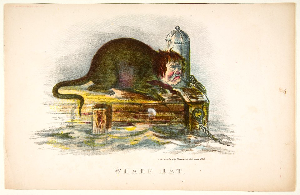 Wharf Rat, from The Comic Natural History of the Human Race MET DP813079