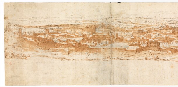 View of Rome from the Janiculum in the South-West; verso- Sketch of buildings and plants MET DP306884
