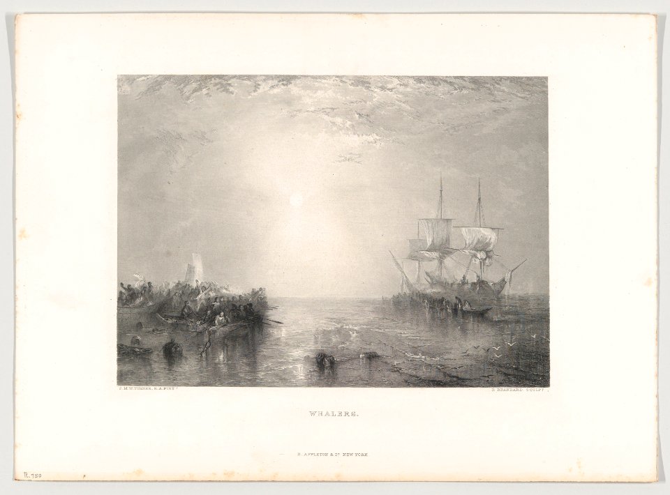 Whalers MET DP856665