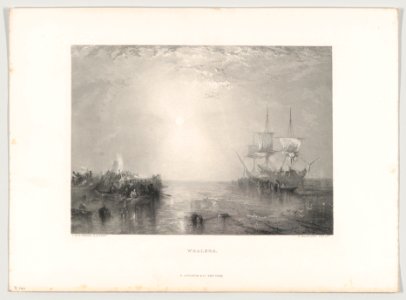 Whalers MET DP856665