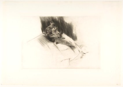 Whistler Asleep MET DP815656