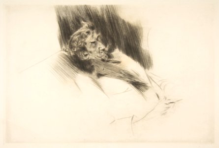 Whistler Asleep MET DP815658
