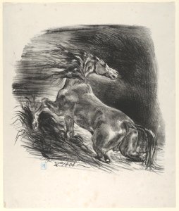 Wild Horse MET DP852107