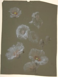 White Hollyhocks MET DP805166