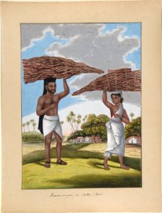 Woodmonger in Culla Caste, from Indian Trades and Castes MET DP807529