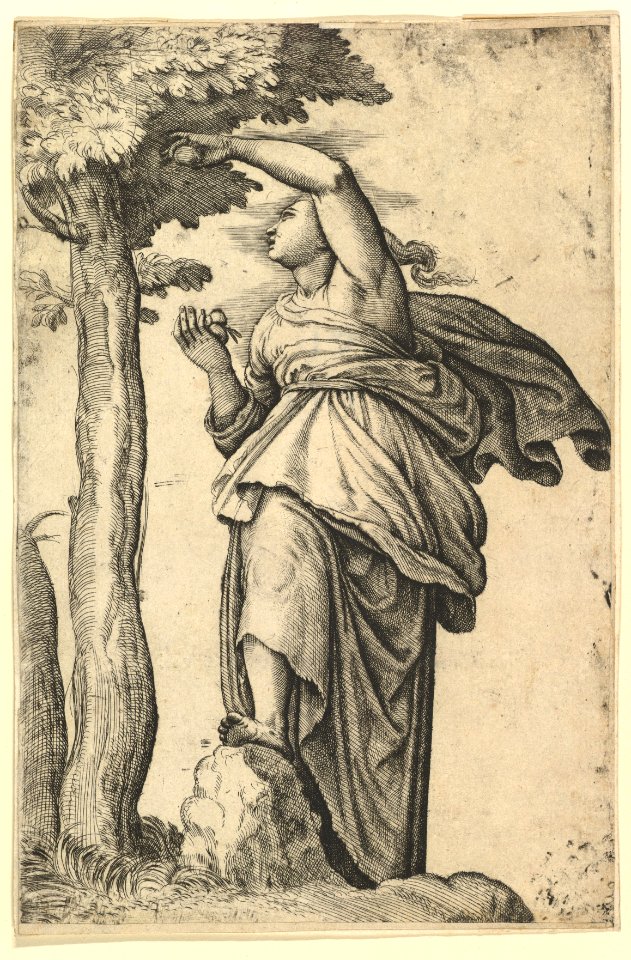 Woman in Roman Costume Picking Fruit from a Tree MET DP820868