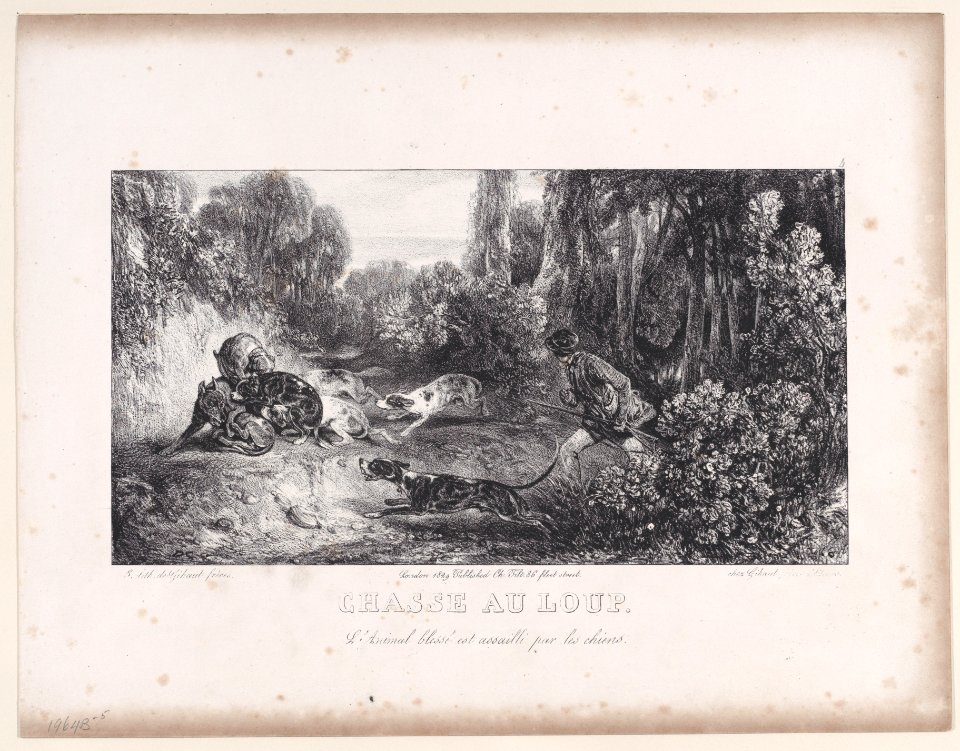Wolf Hunt- Animal Wounded and Attacked by Dogs, from the series Hunting Scenes Met DP887936