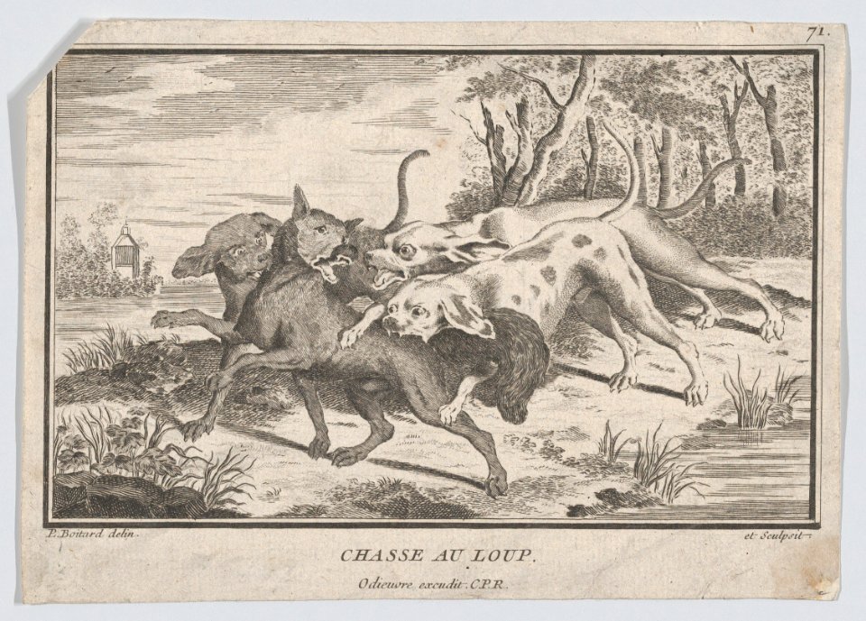 Wolf Hunt MET DP874296