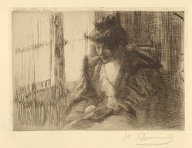 Woman Reading Before a Window (La liseuse devant la fenêtre) MET DP834432