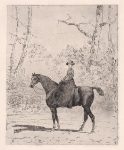 Woman on horseback Met DP889009