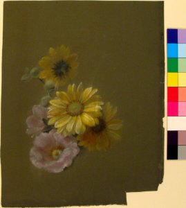 Yellow Daisies and Pink Wild Rose MET 28.40.5