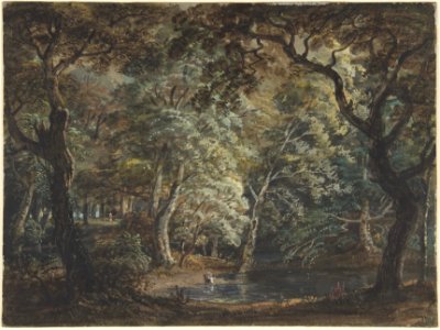 Windsor Great Park MET DP805055