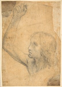 Youth with Right Arm Raised in a Shoulder-Length Portrayal (preparatory study for St. Sebastian) MET DP812798