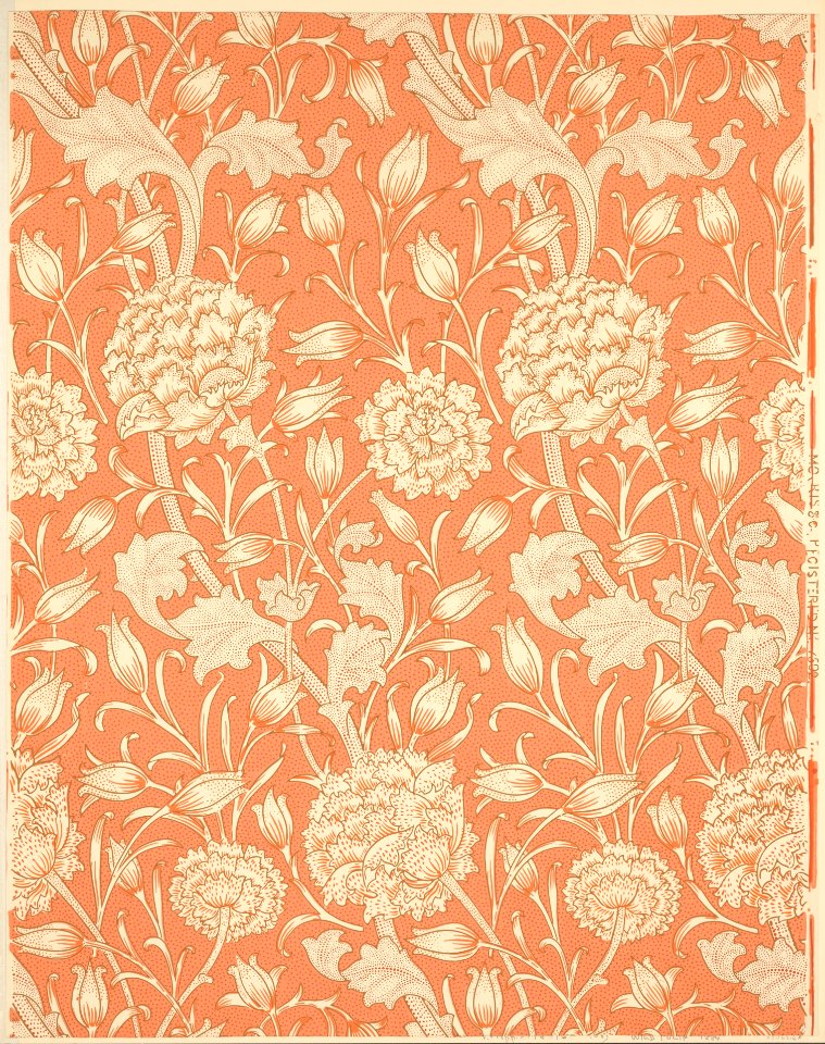 Wild Tulip MET DP146520
