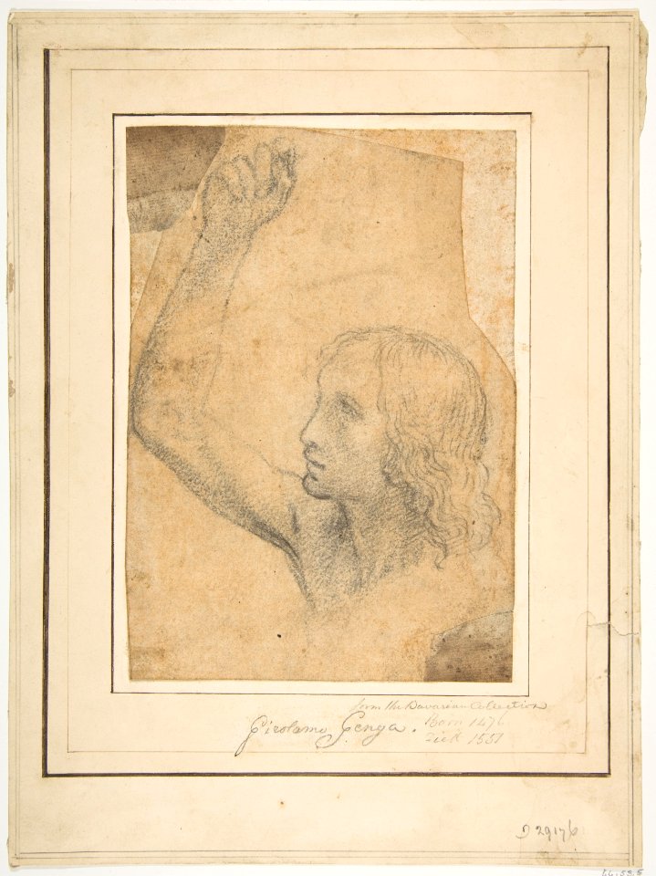 Youth with Right Arm Raised in a Shoulder-Length Portrayal (preparatory study for St. Sebastian) MET DP812222