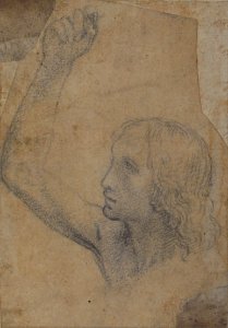 Youth with Right Arm Raised in a Shoulder-Length Portrayal (preparatory study for St. Sebastian) MET 66.53.5