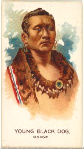 Young Black Dog, Osage, from the American Indian Chiefs series (N2) for Allen & Ginter Cigarettes Brands MET DP828030