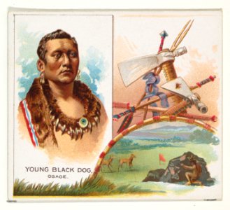 Young Black Dog, Osage, from the American Indian Chiefs series (N36) for Allen & Ginter Cigarettes MET DP838947