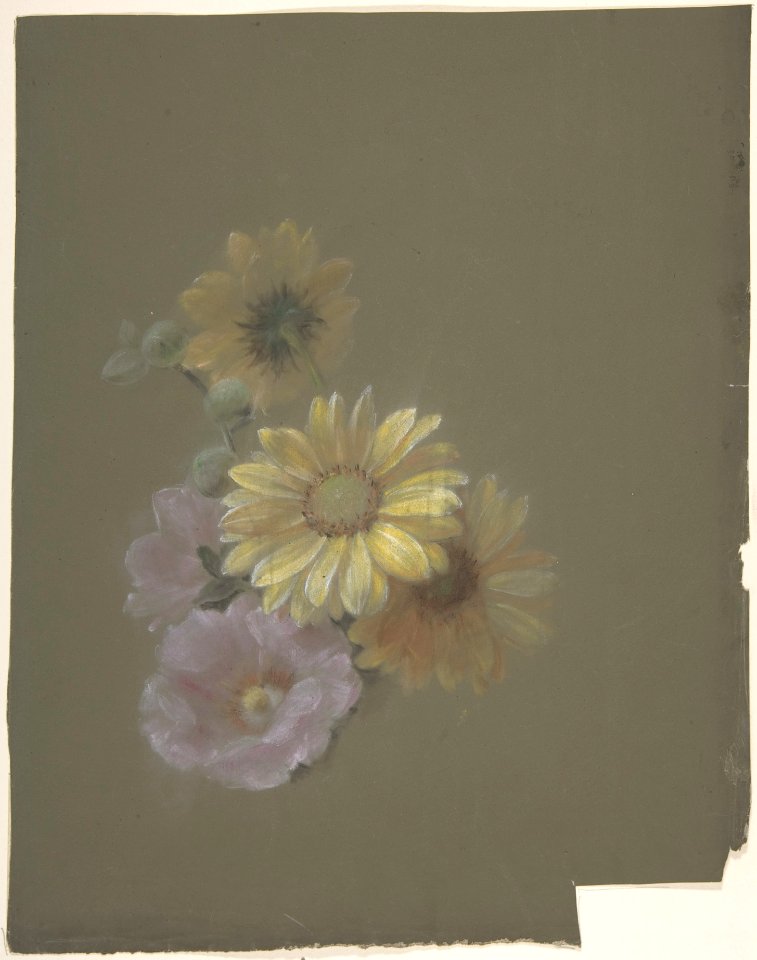 Yellow Daisies and Pink Wild Rose MET DP805175