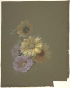 Yellow Daisies and Pink Wild Rose MET DP805175