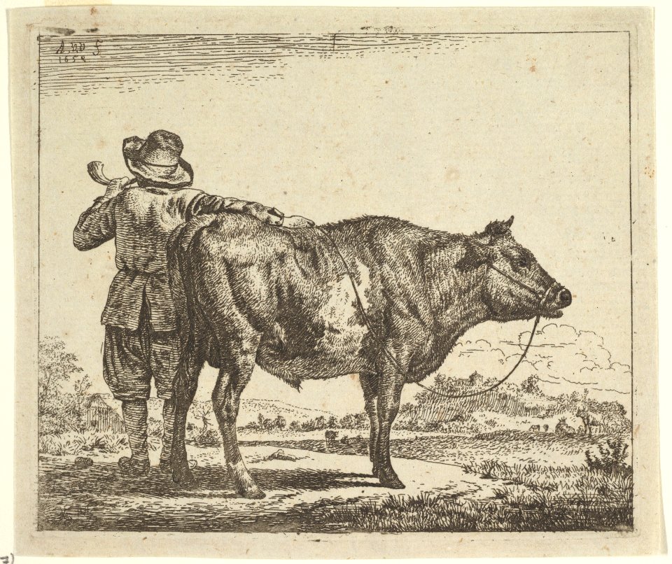 Young Herdsman with a Bull, from Different Animals MET DP828089