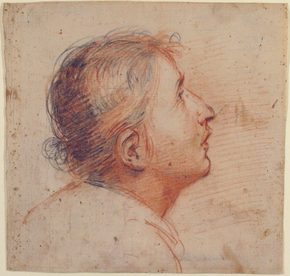 Youth Gazing Upwards in Profile. MET 1994.268 RECTO