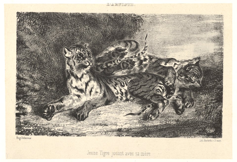 Young Tiger Playing with Its Mother MET DP852098