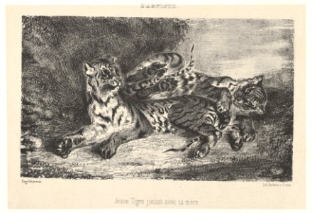 Young Tiger Playing with Its Mother MET DP852098