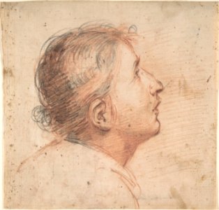 Youth Gazing Upwards in Profile. MET DP809076