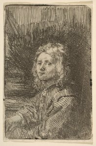 Young Man, Half-Length MET DP814946