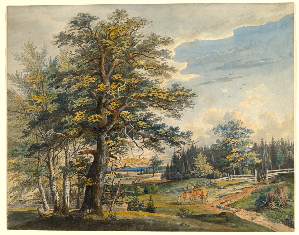 Wooded Landscape with Stag MET DP819775