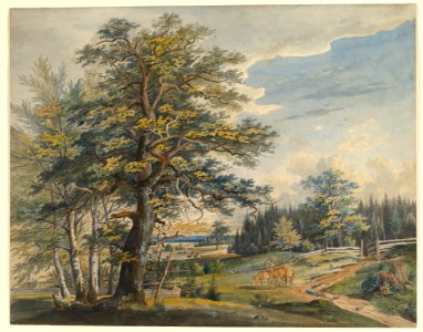 Wooded Landscape with Stag MET DP819775